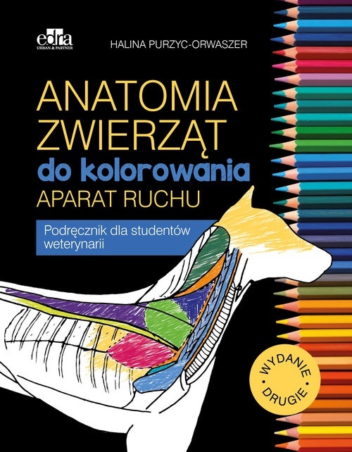 Anatomia Zwierz t Do Kolorowania Aparat Ruchu Ksi garnia Medyczna anatomia-zwierz-t-do-kolorowania-aparat-ruchu-ksi-garnia-medyczna